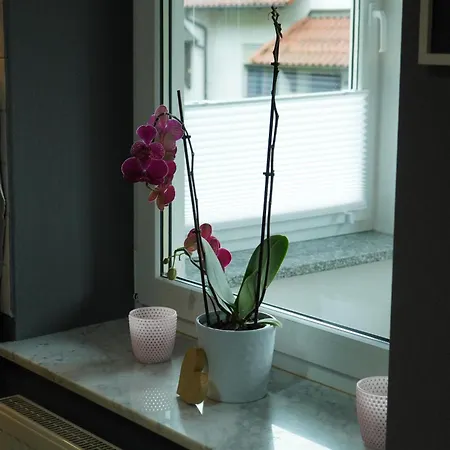 Kleines Paradies Am Waldrand Fulda