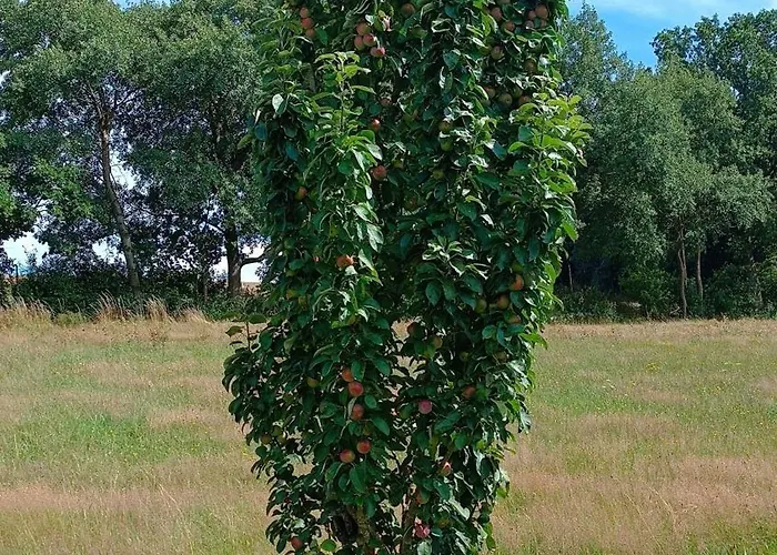 Kleines Paradies Am Waldrand