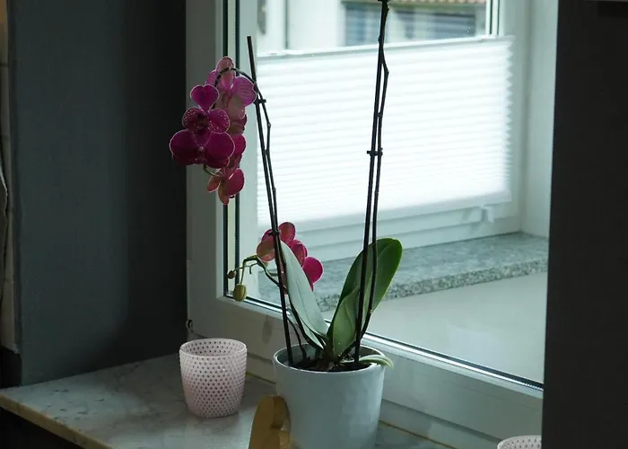 Kleines Paradies Am Waldrand Fulda